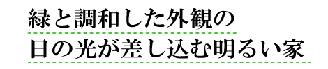 緑と調和した外観の日の光が差し込む明るい家