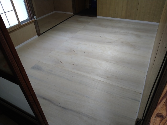 �s���s�F�􂩂����ցI�����ȉ��n�����Ŋ������v�Ȏ��[����